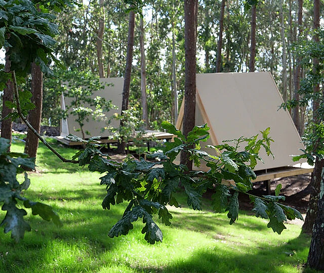 amaraxe ecoglamping 1